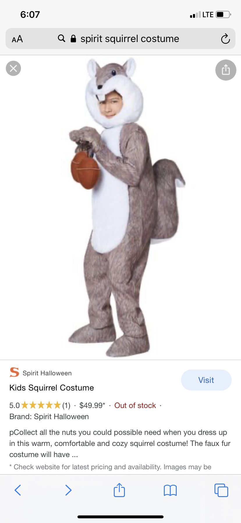 Squirrel Costume Size 4-10