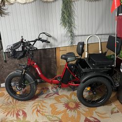 Electric Bike