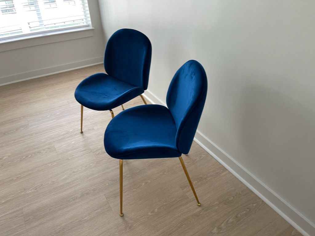  Blue Velvet Side Chairs. 