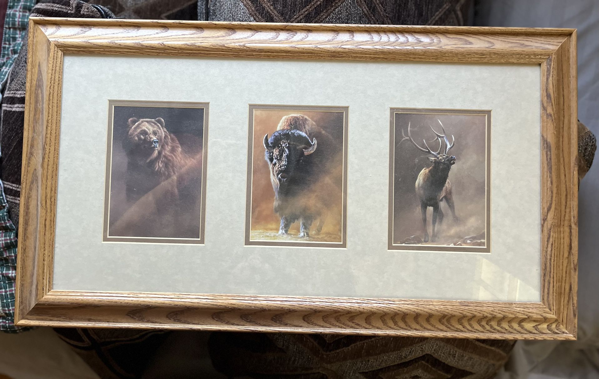 Bear Buffalo Elk Framed Print