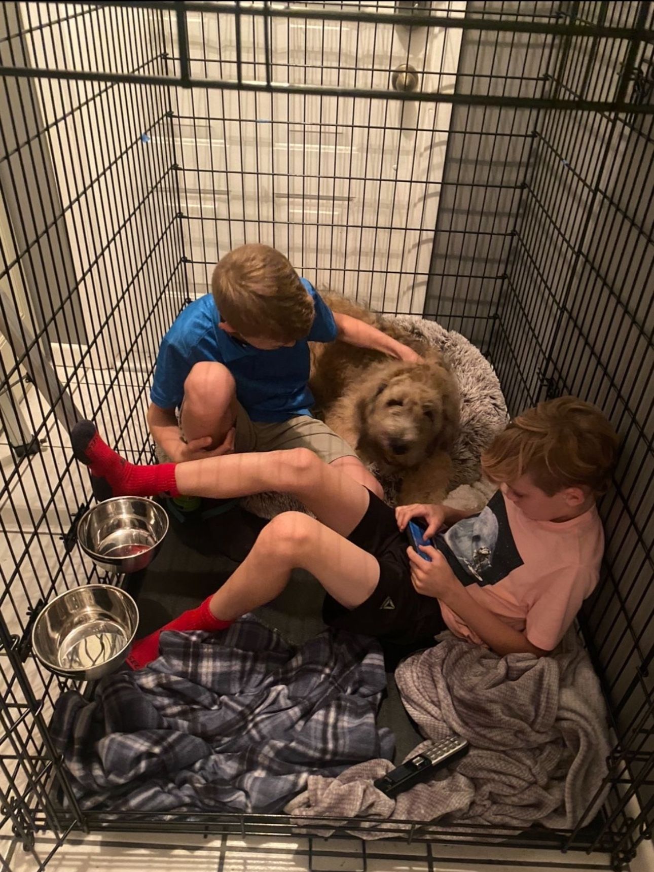 XXL Dog Crate + Pan  - Cage, Kennel