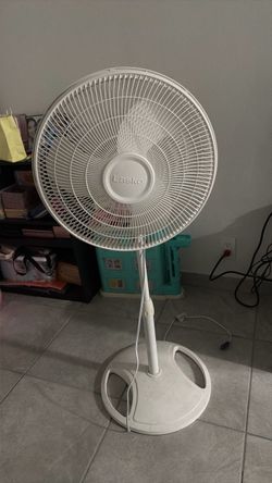 Fan