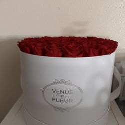 Venus et Fleur Red Eternity Roses – Large Arrangement