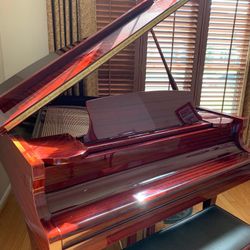 Samick Baby Grand SG-155.  Free. Worth $4000