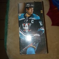 anaheim ducks getzlaf bubble head not open have more items for sale check out my paige