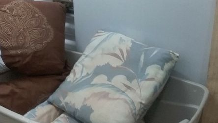 Throw Pillows
