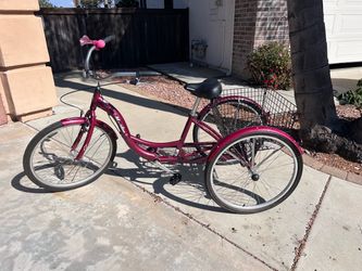 Schwinn Meridian Adult Tricycle