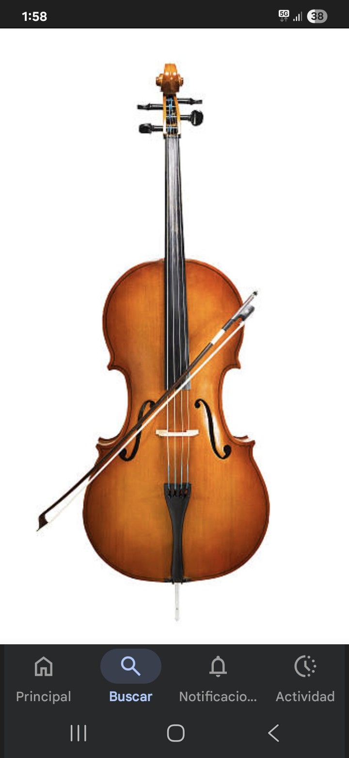 CLASES DE VIOLA INCLUYE ARMONIA SOLFEO Y TEORIA MUSICAL 50DLS CLASE O 60 ADOMICILIO