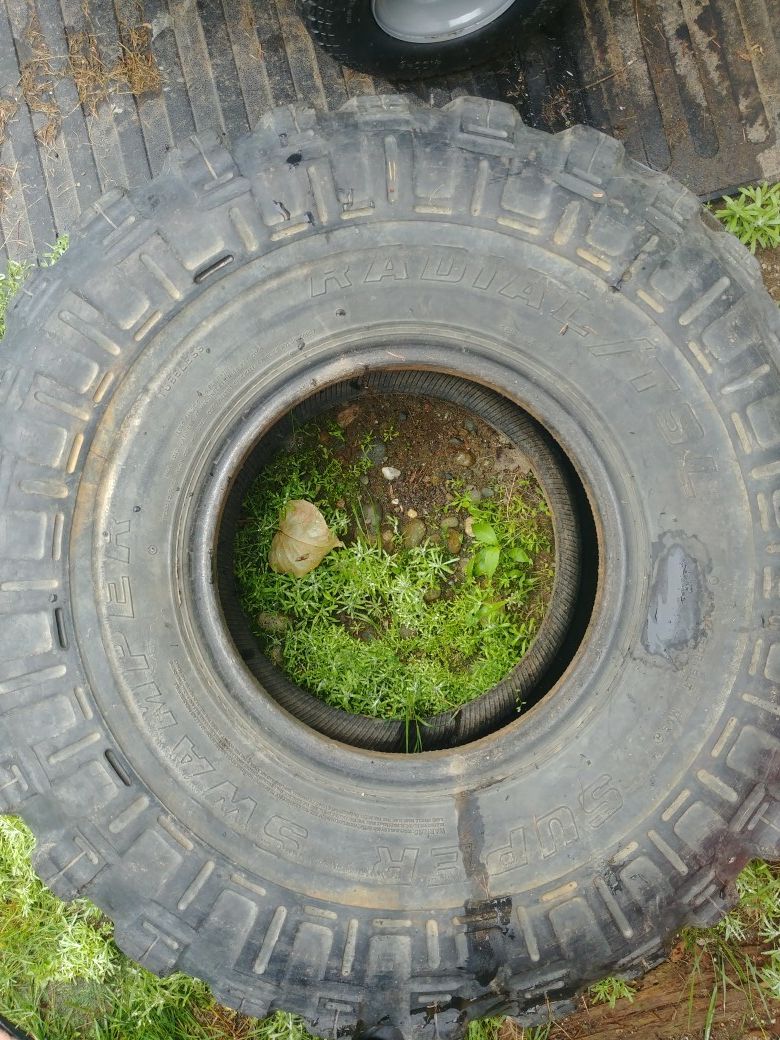 35/{link removed} super swamper