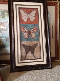 glass framed