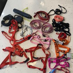 Dog Leashes and Collars Bundle 