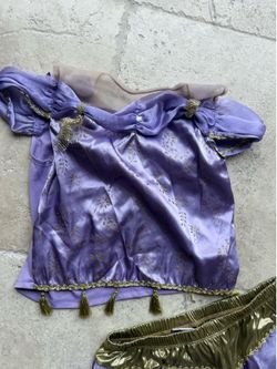 Disney Arabian princess costume