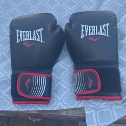 Everlast Boxing Gloves 14oz