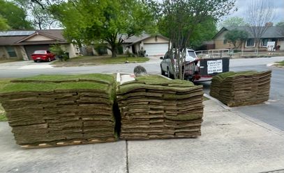 Sod/Grass