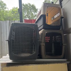 Dog Transport Cages 