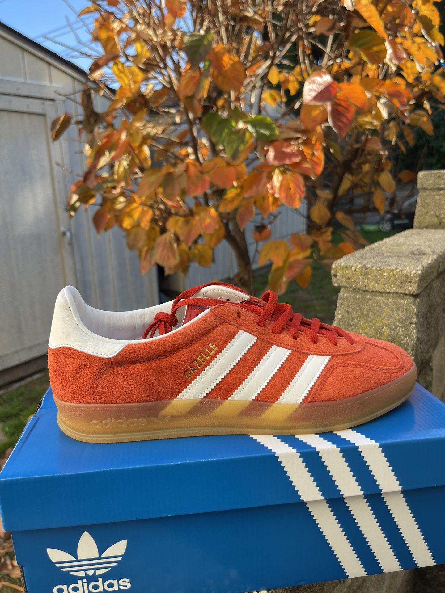 Adidas Gazelle Indoor Size 9.5