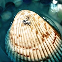 925 Sterling Silver 3D Rhino Charm Pendant 