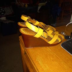 Womans Ann Taylor Loft Wedge Sandals