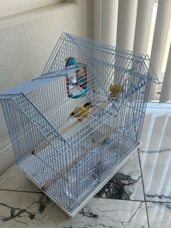 Bird cage