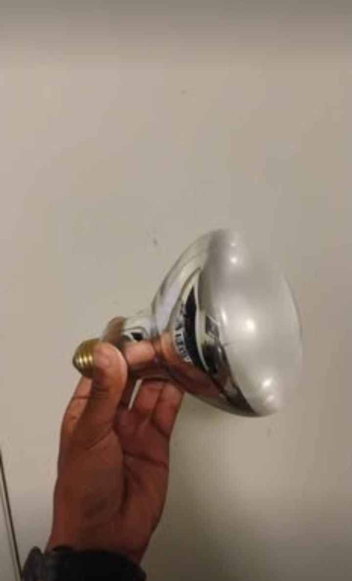 All In One Reptile Light