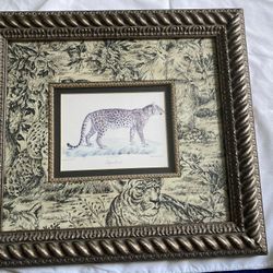 Leopard Picture 