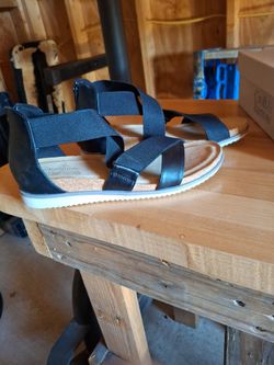 Croft &barrow Composer Size 10 