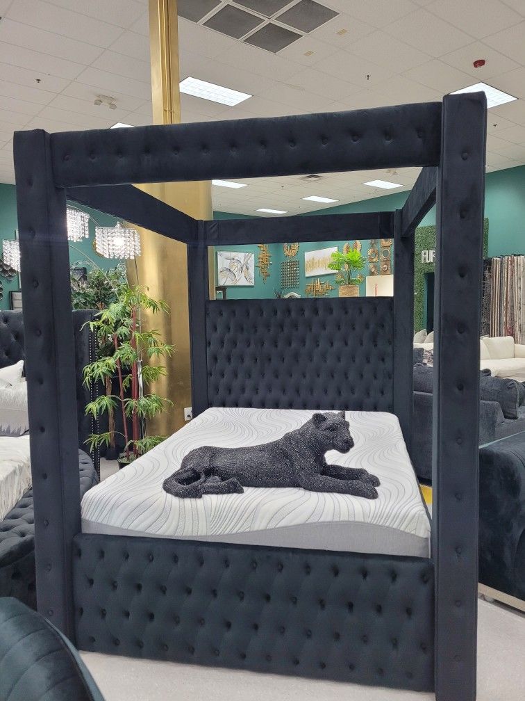 Beautiful Canoppy Bed