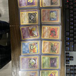First Edition Collection 