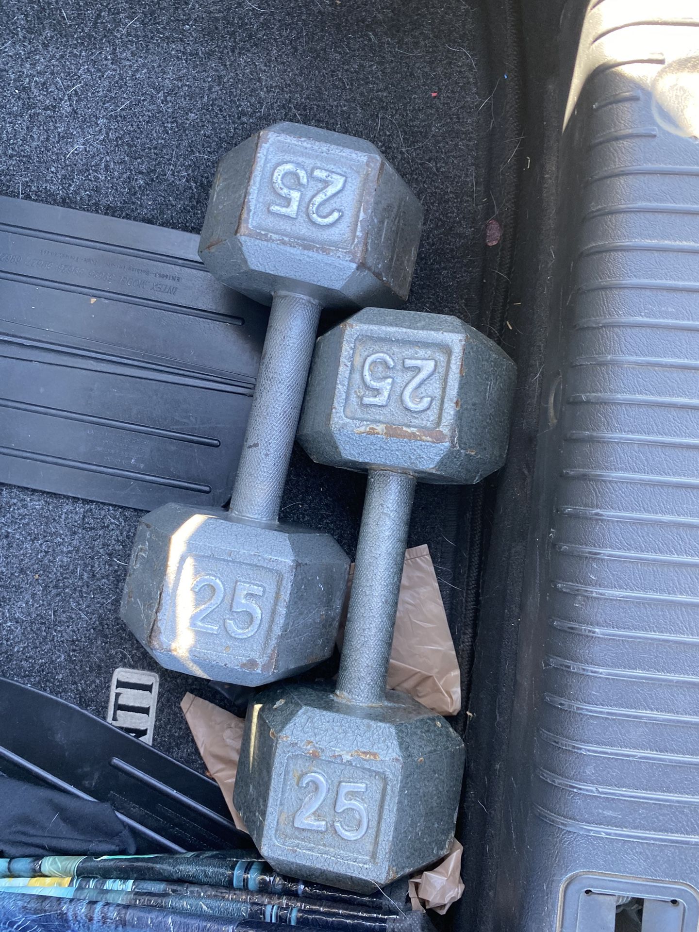 25 lb dumbells