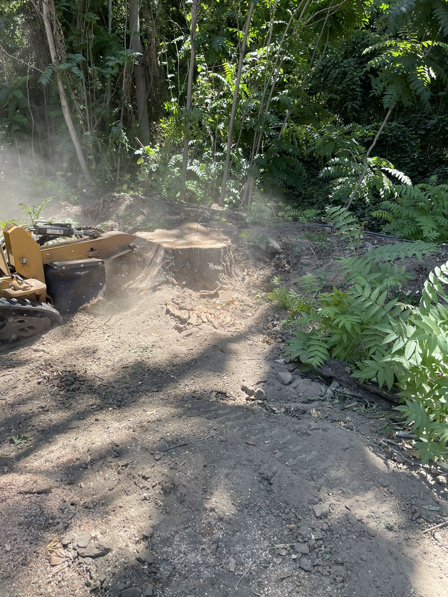 Stump Grinding