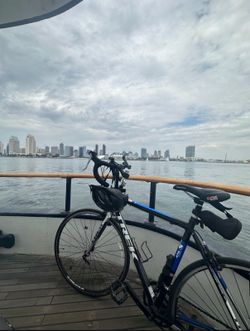 TREK Bike