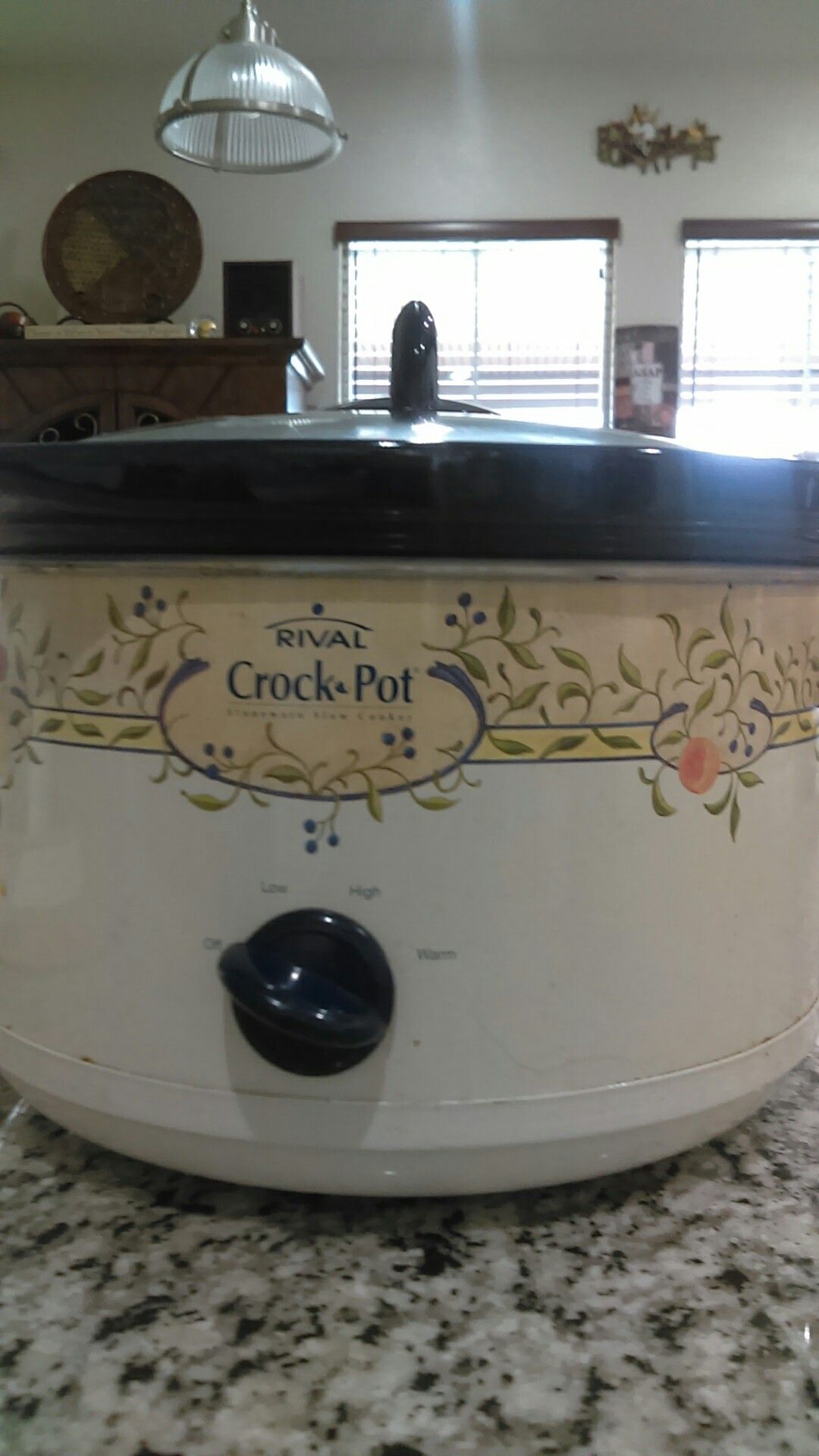 Rival crock pot 5qt