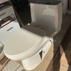 Toilette In Good Working condition 