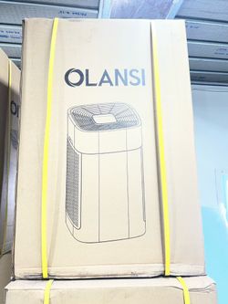 Olansi K15A Whole house air filter