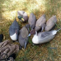 Duck decoys