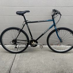 1996 Trek 800 Sport (M/L)
