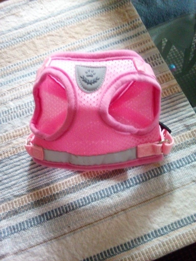 Cat Harness