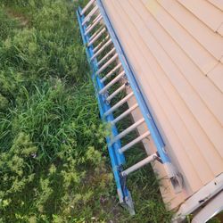 22 F Ladder  In Good Condition 