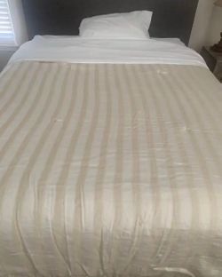 Noble Excellence Queen Size Bed Comforter Blanket Cream ( Only Comforter, other items not included)