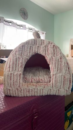 house for puppy or cat