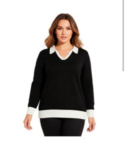 NWT Sweater blouse