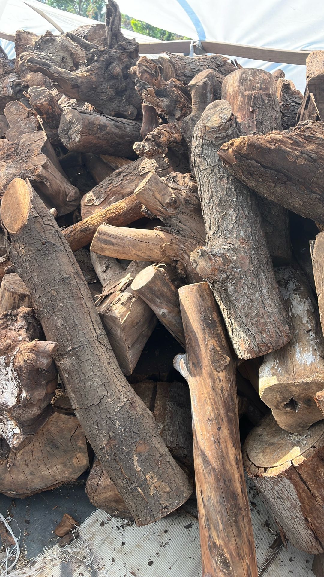 Firewood