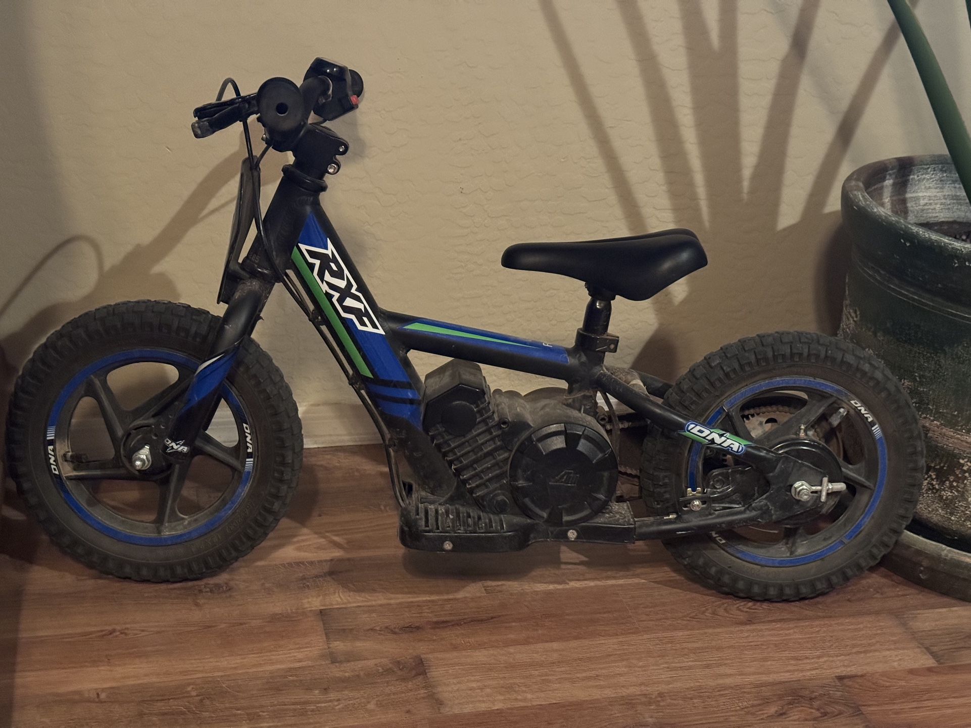 Electronic Bike