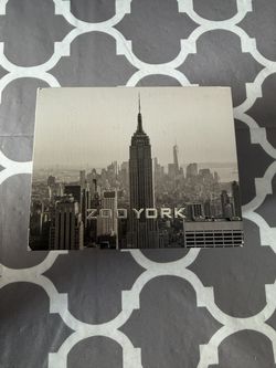Zoo York Watch