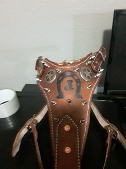 Dog Harness 100%leather S,M,L,XL custom with dog name!!(pecheras para perros grandes resistentes todas las medidas puro cuero vaqueta)