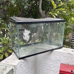 10 Gallon Fish Tank