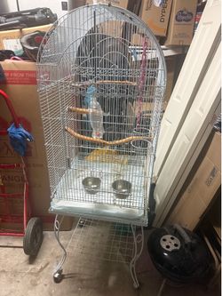 BIRD CAGE