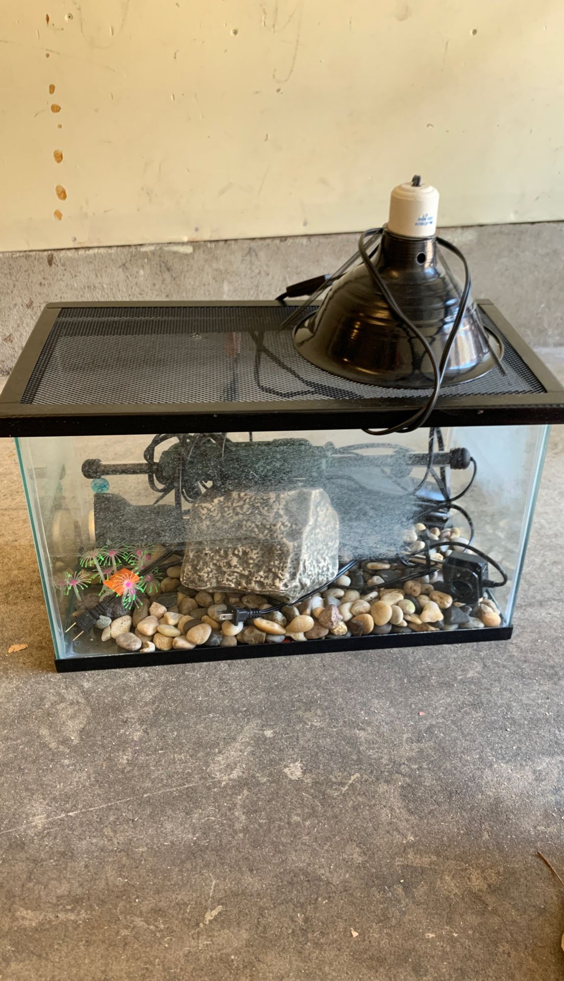 Fish tank, reptile enclosure 20x12x10 for Sale in Lakeside, CA OfferUp