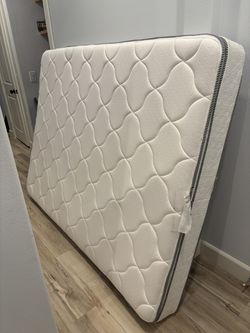 Queen Sized Matress + Bedframe $150 OBO
