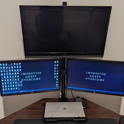 Computer Monitors & Mounts